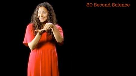 Video thumbnail: Secret Life of Scientists and Engineers Laurie Santos: 30 Second Science