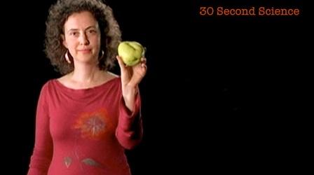 Video thumbnail: Secret Life of Scientists and Engineers Ina Vandebroek: 30 Second Science