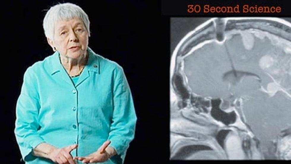 Jean Berko Gleason: 30 Second Science image