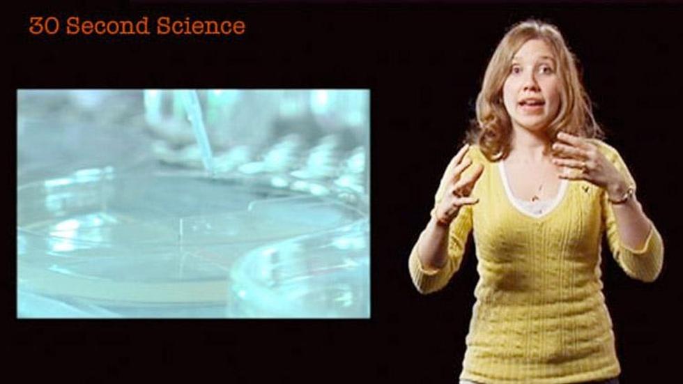 Mollie Woodworth: 30 Second Science image