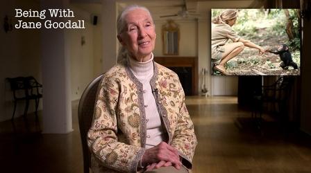 Being with Jane Goodall
