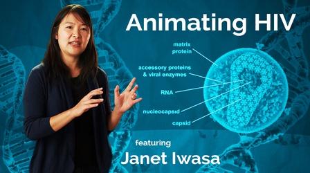 Video thumbnail: Secret Life of Scientists and Engineers Janet Iwasa: Animating HIV