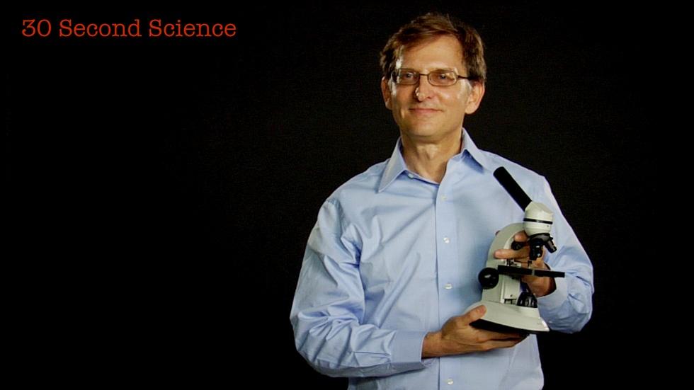 30 Second Science: Ian Lipkin image