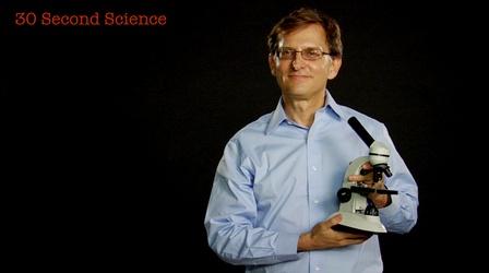 30 Second Science: Ian Lipkin