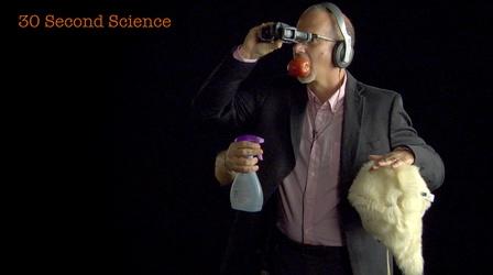 30 Second Science: Larry Rosenblum