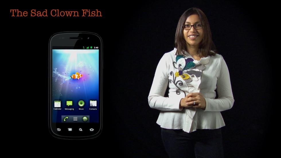 Tanzeem Choudhury: The Sad Clown Fish image
