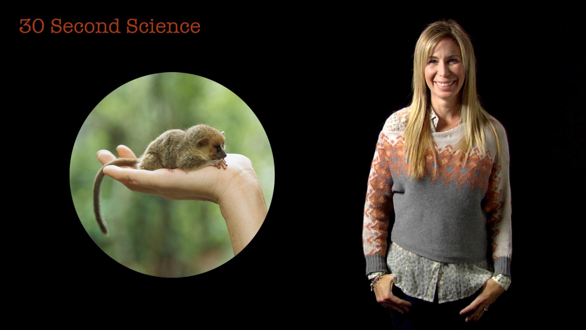 30 Second Science Mireya Mayor Secret Life of Scientists and