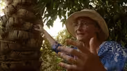 Archimedes' Screw & the Date Tree of Babylon