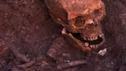 Preview | Resurrecting Richard III