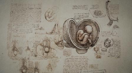 Video thumbnail: Secrets of the Dead Leonardo's anatomical drawings 