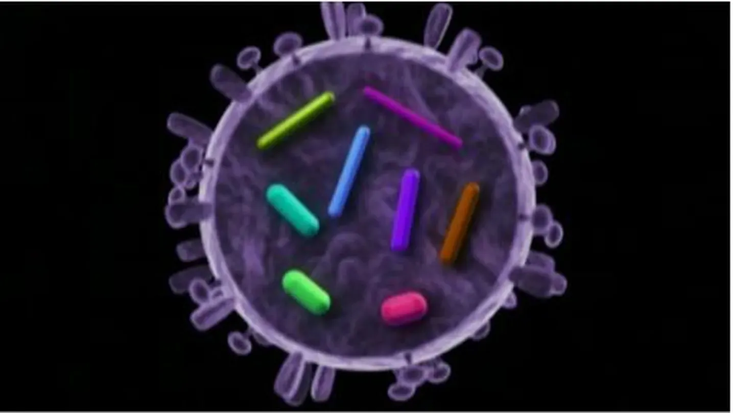 Killer Flu