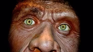Caveman Cold Case