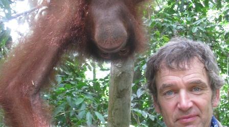 Episode 2 Preview | Orangutans