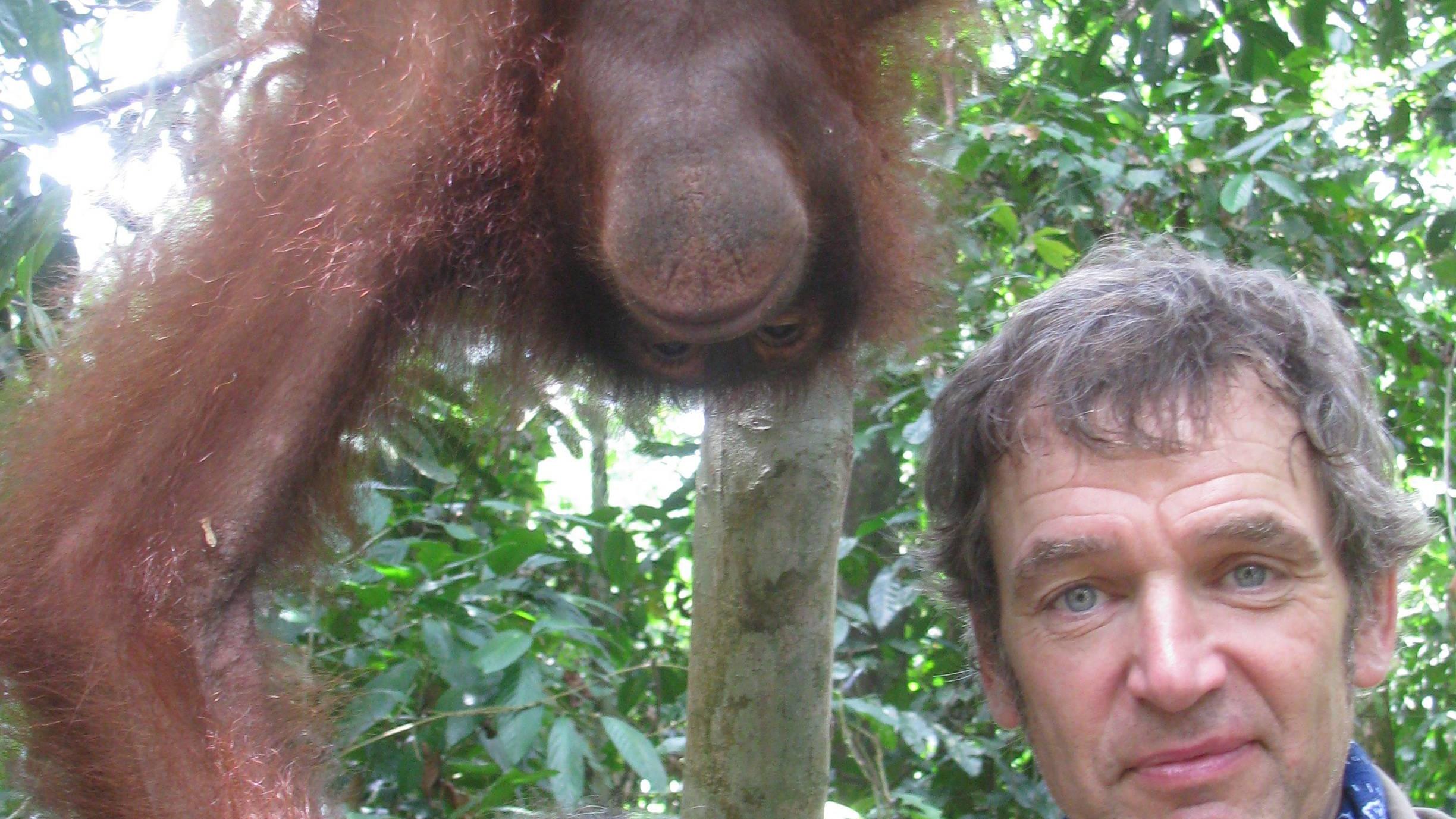 Bokep dengan cewek dan orangutan