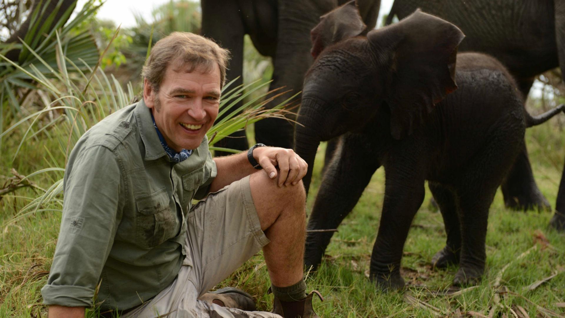 A Scene from Sex in the Wild: Elephants