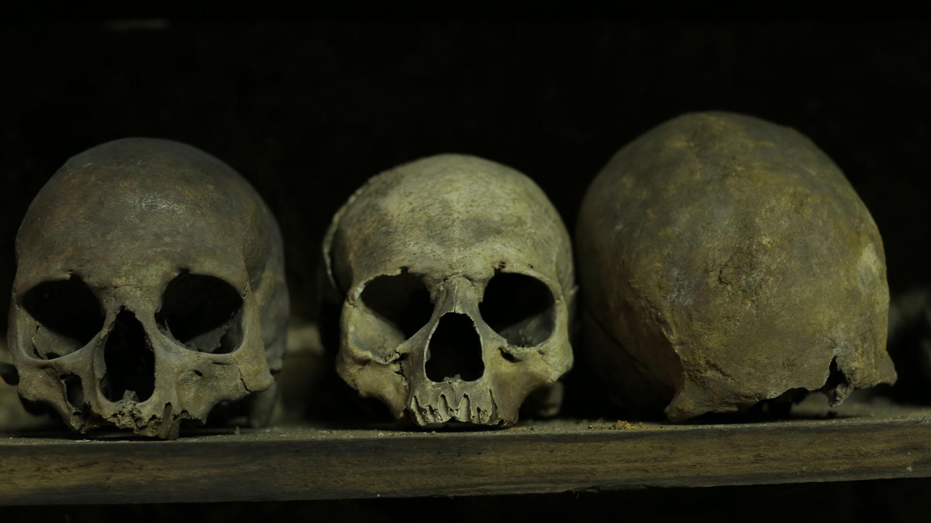 Skull and Bones: Inside the Secret Society - the Bizarre Rituals