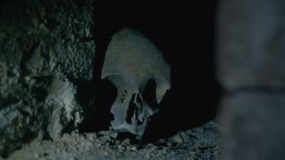 The Mystery Skull in The Crypt