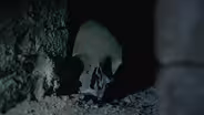 The Mystery Skull in The Crypt