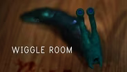 Wiggle Room: A Stop-Motion Film