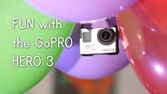 Introduction to The GoPro