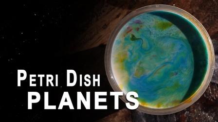 Video thumbnail: Shanks FX Petri Dish Planets