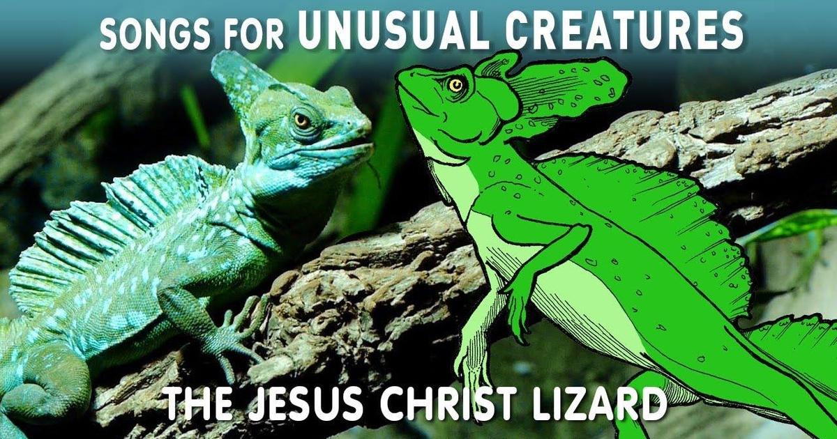 songs-for-unusual-creatures-the-jesus-christ-lizard-pbs