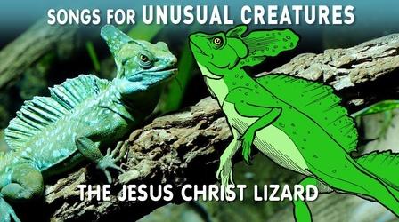 Video thumbnail: Songs for Unusual Creatures The Jesus Christ Lizard