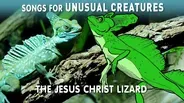 The Jesus Christ Lizard