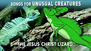 The Jesus Christ Lizard