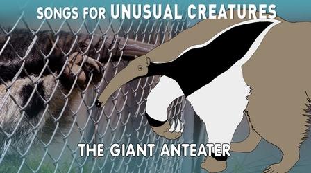 Video thumbnail: Songs for Unusual Creatures Giant Anteater