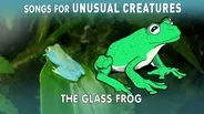 Glass Frog