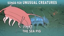 A Song for the Sea Pig with The Kronos Quartet: asset-mezzanine-16x9
