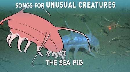 Video thumbnail: Songs for Unusual Creatures A Song for the Sea Pig with The Kronos Quartet