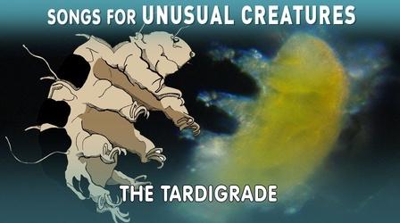 Video thumbnail: Songs for Unusual Creatures Hunting for Tardigrades!
