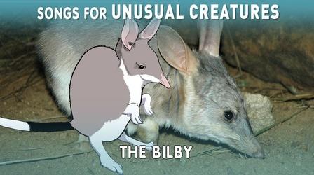 Video thumbnail: Songs for Unusual Creatures The Easter Bilby
