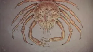 History of Cancer