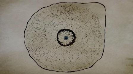 Video thumbnail: Cancer: The Emperor of All Maladies The Discovery of the Oncogene in Carcinogeneis