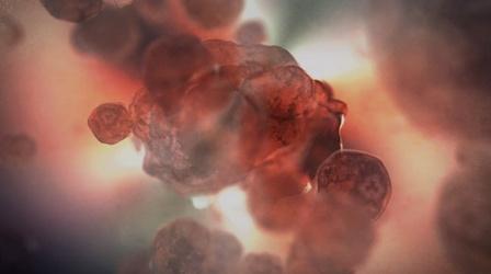 Video thumbnail: Cancer: The Emperor of All Maladies Evolution in the Bottle