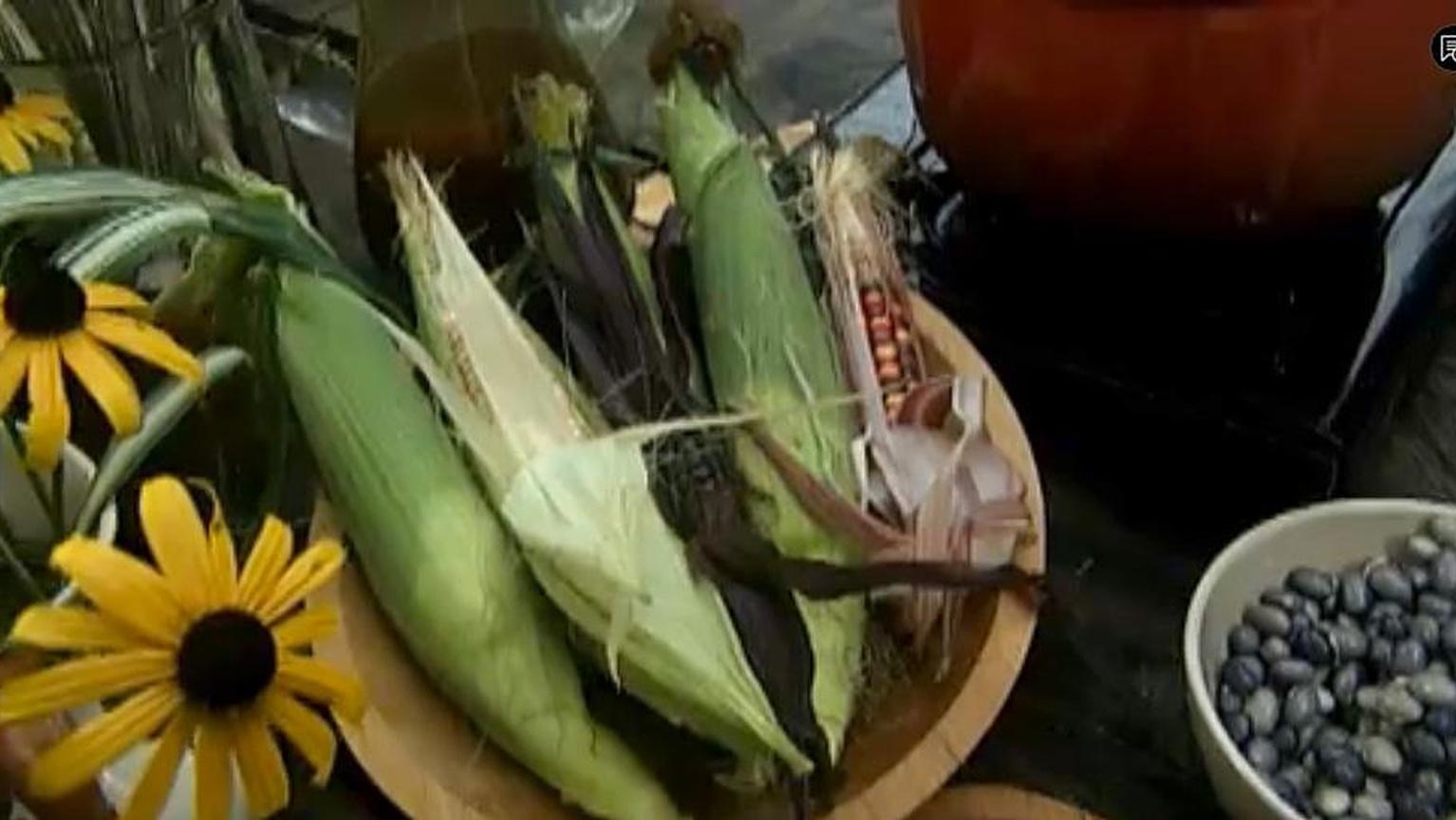 Vertical: Think Up! | The Victory Garden | PBS