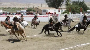 Trailer | Escaramuza: Riding From The Heart