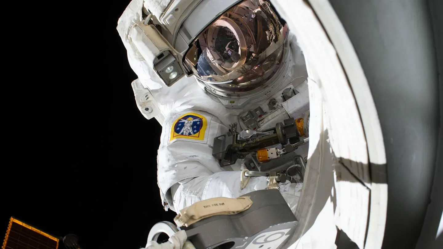 A Year in Space