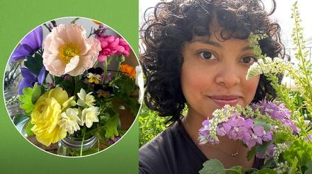 Video thumbnail: Central Texas Gardener Fall Seeds Bring Spring Flowers!