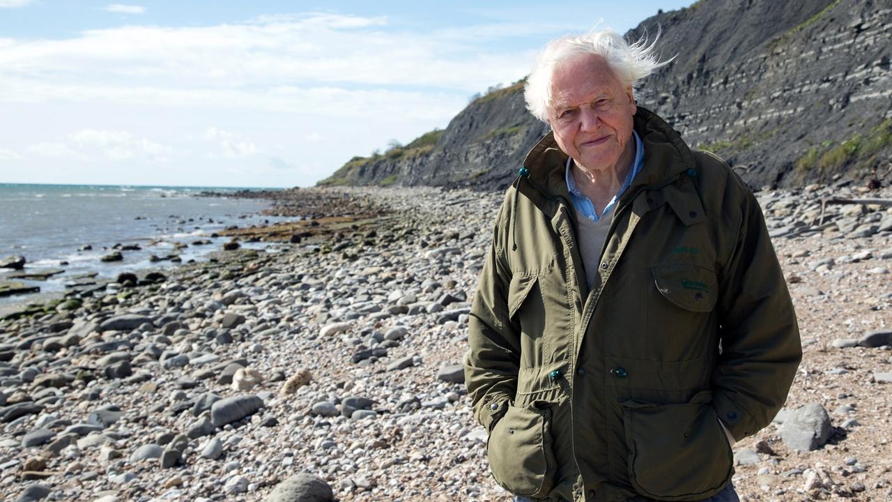 Nature | Attenborough and the Sea Dragon