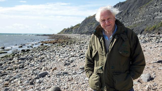 Nature | Attenborough and the Sea Dragon