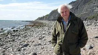 Attenborough and the Sea Dragon