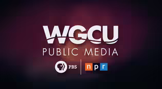 WGCU Promo 2018