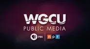 WGCU Promo 2018