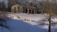 Shepherd in Winter