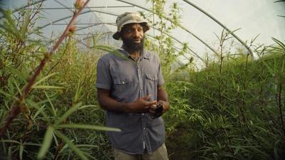 Against the Current: Life on the Eastern Shore | Organic Farming