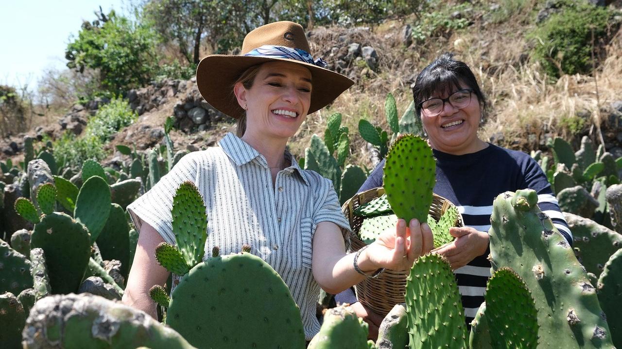 Pati's Mexican Table